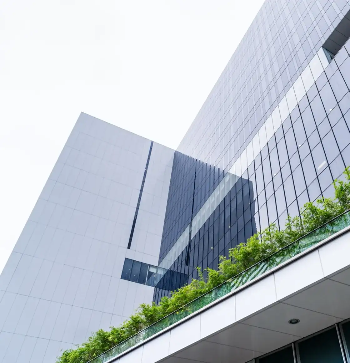 How Innocito Can Help Startups Thrive During a Recession